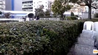 哪个网站可以看黄夫妻玩友家3P